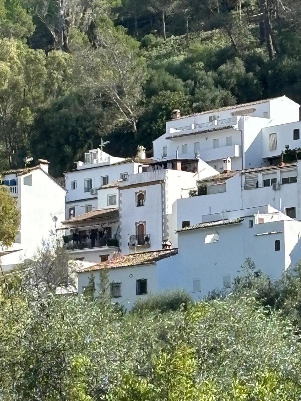 El Rincon De Las Higueras Эль-Боске Экстерьер фото